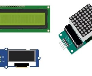 Display Module